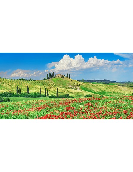 Casa rural con cipreses y amapolas, Val d'Orcia, Toscana