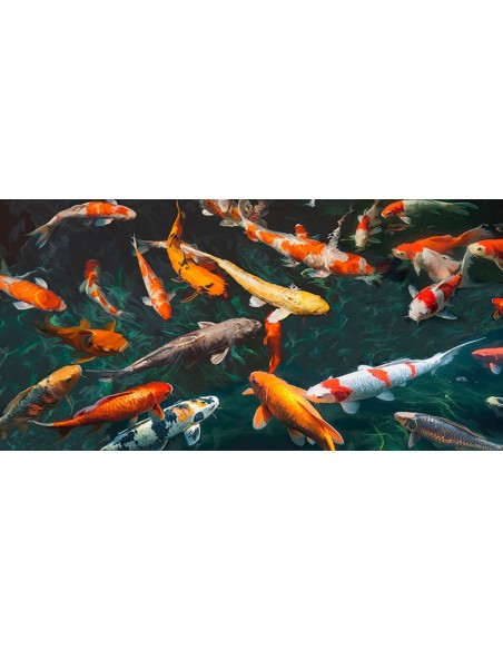 Estanque con peces koi (detalle)