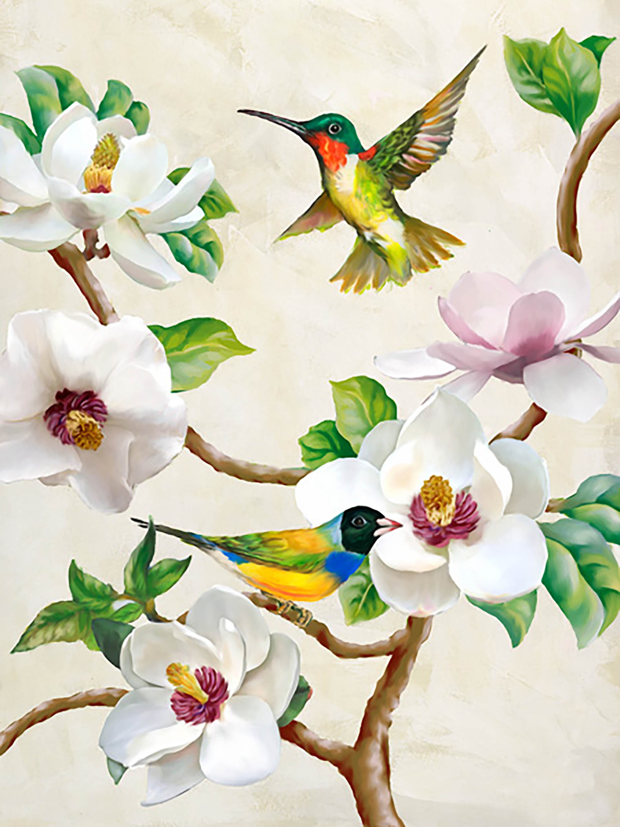 Magnolia y pájaros