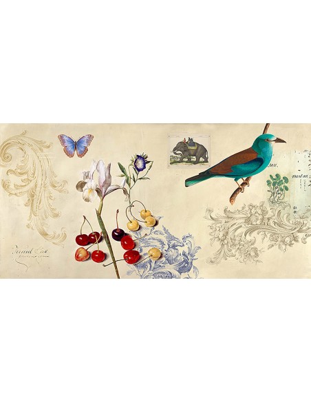 Gabinete de Curiosidades I