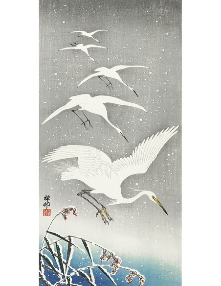 Garcetas descendiendo en la nieve