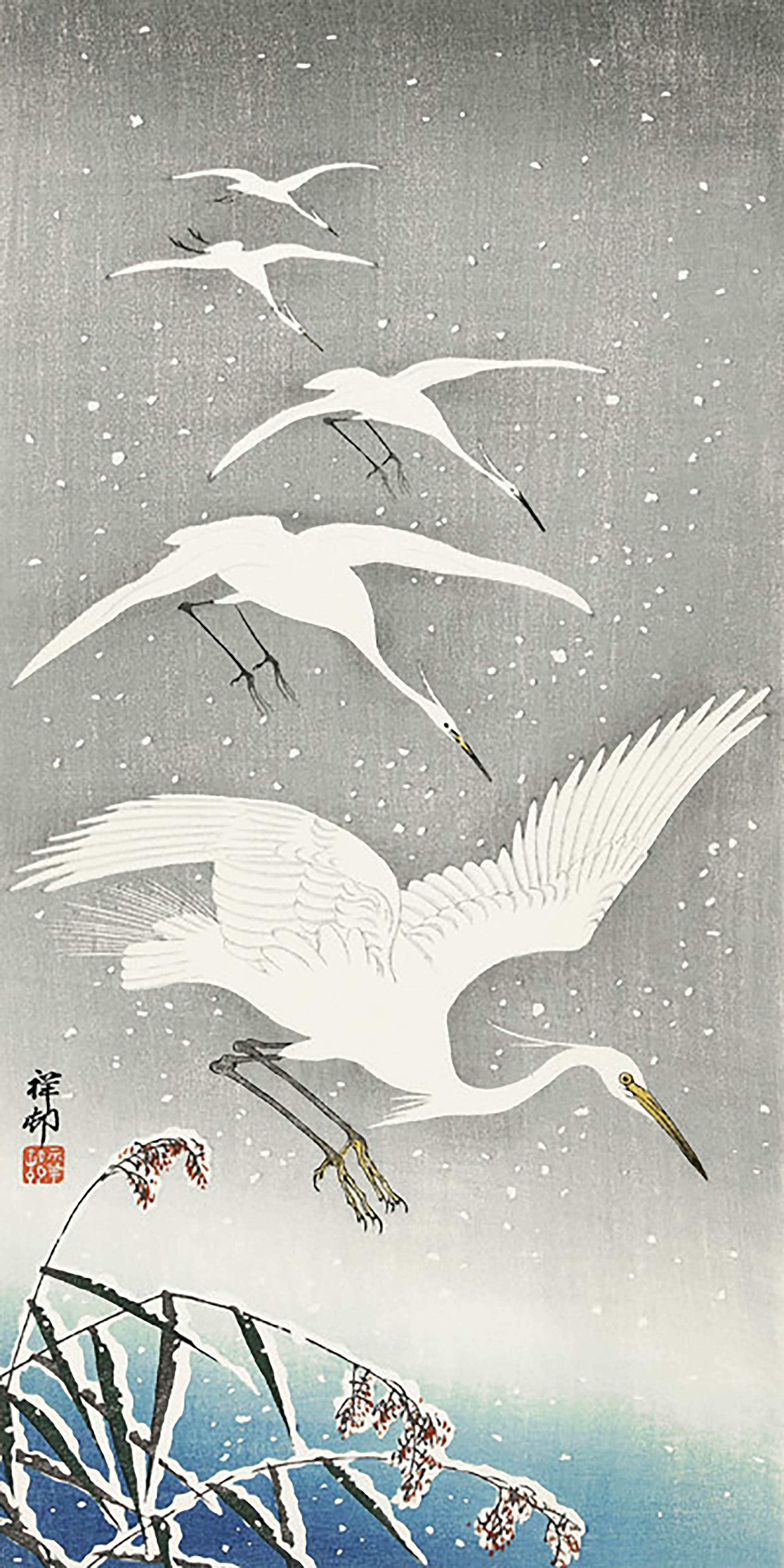 Garcetas descendiendo en la nieve