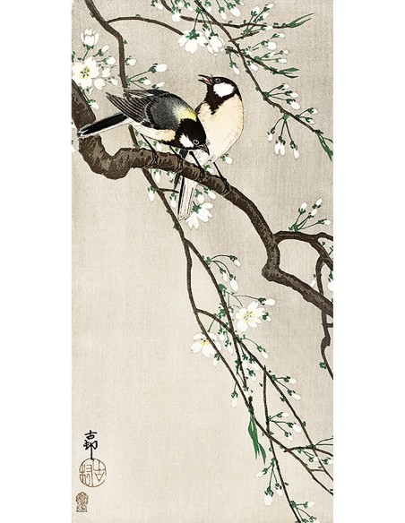 Tetas en la rama de cerezo