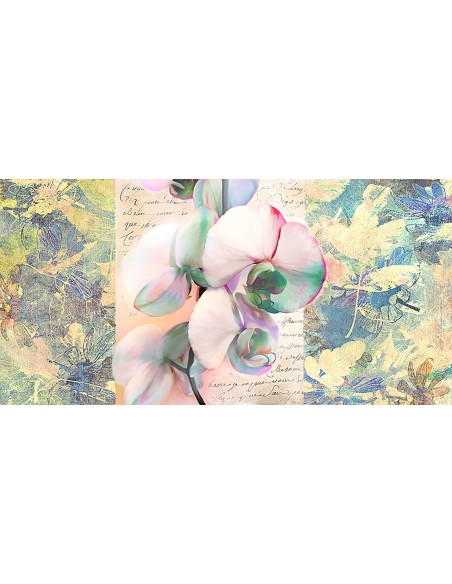 Orquídea caleidoscopio