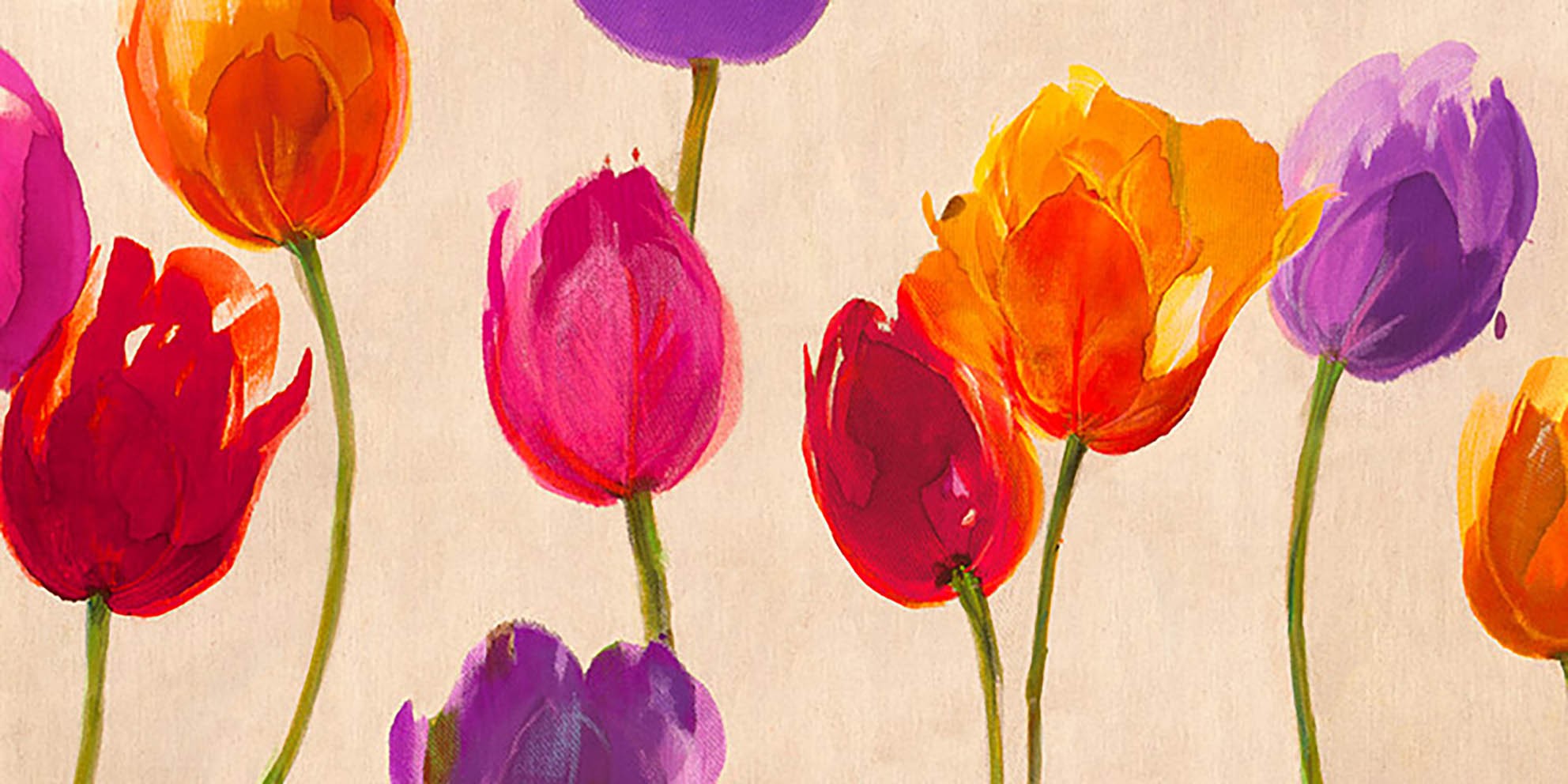 Tulipanes y colores