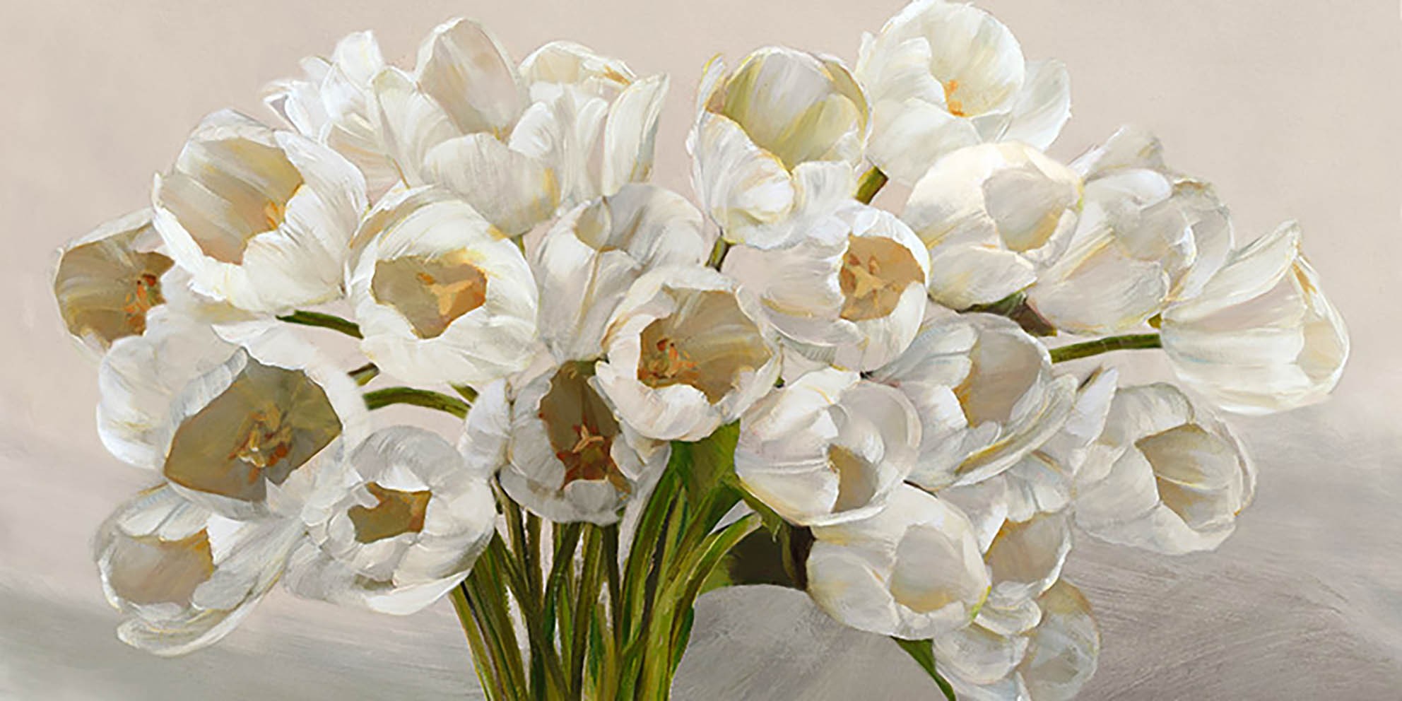 Tulipanes blancos
