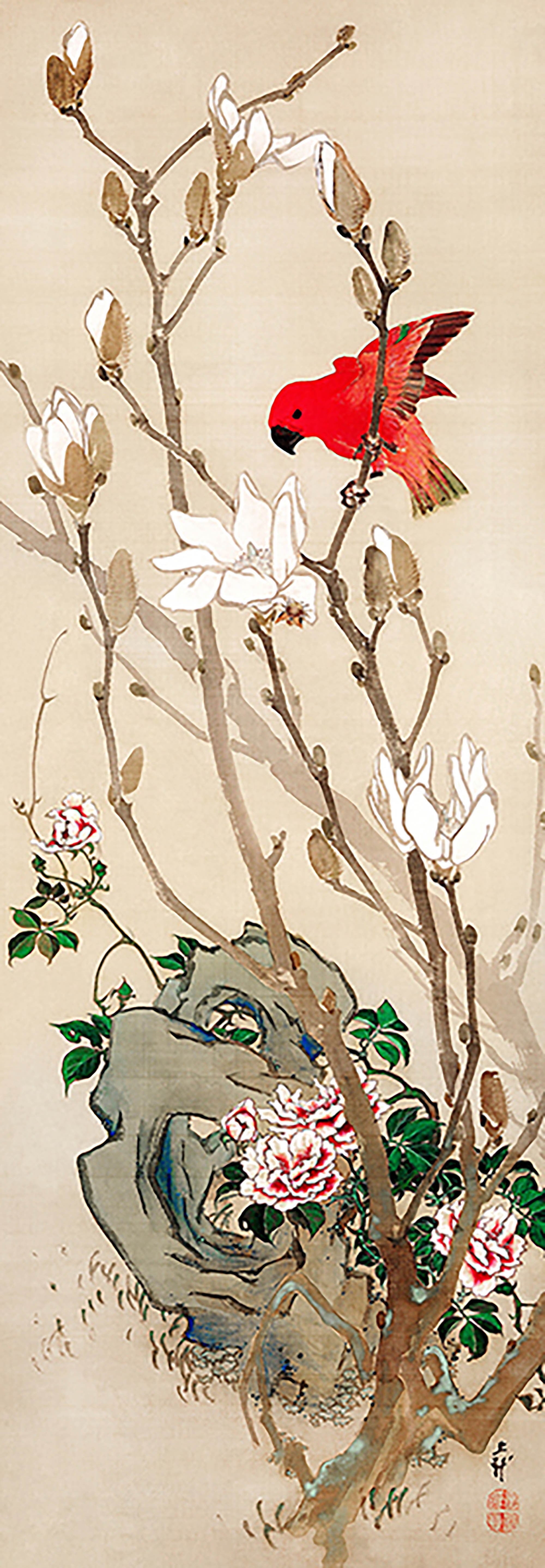 Periquito rojo, c. 1830