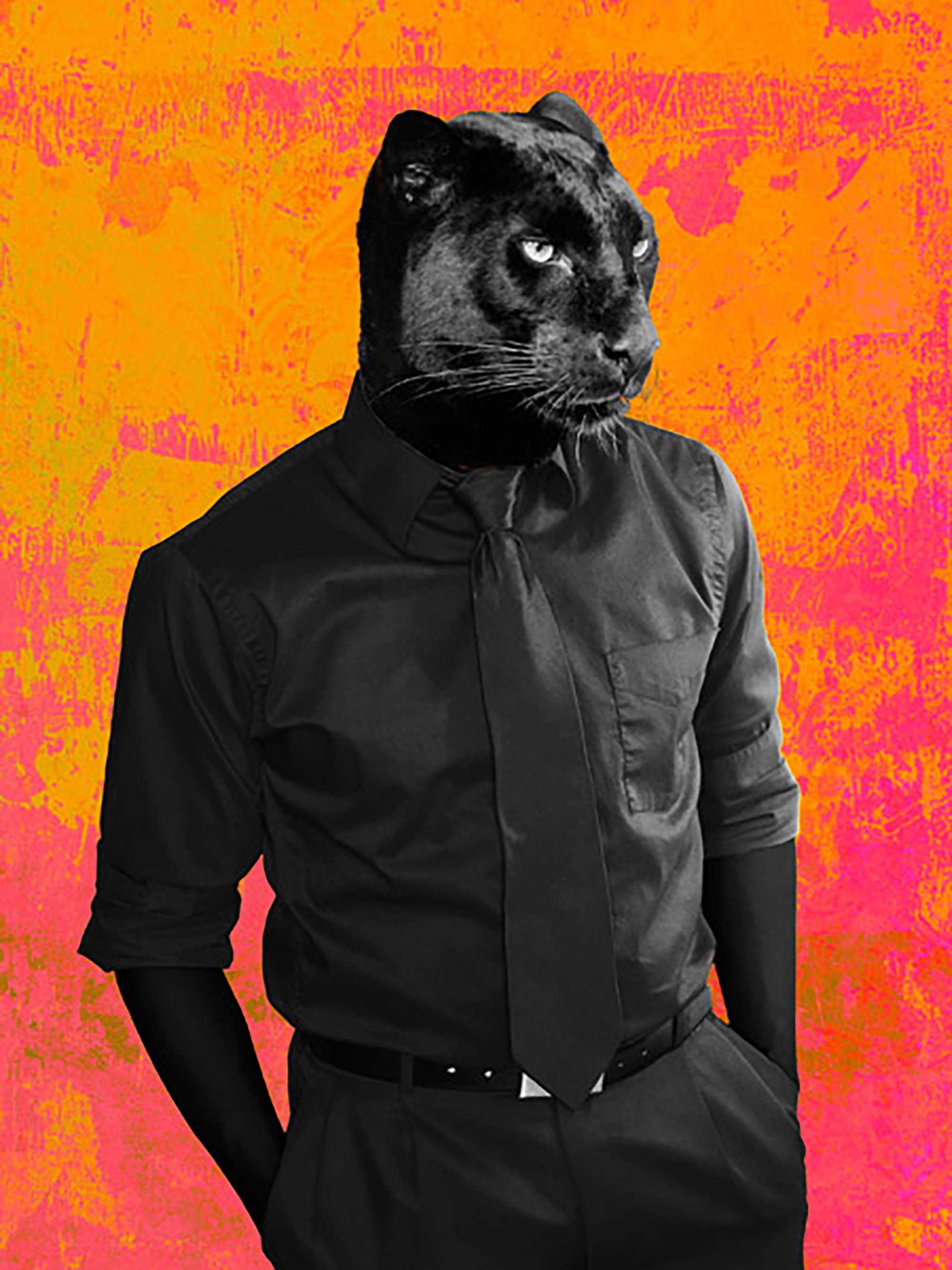 El caballero oscuro (versión pop)