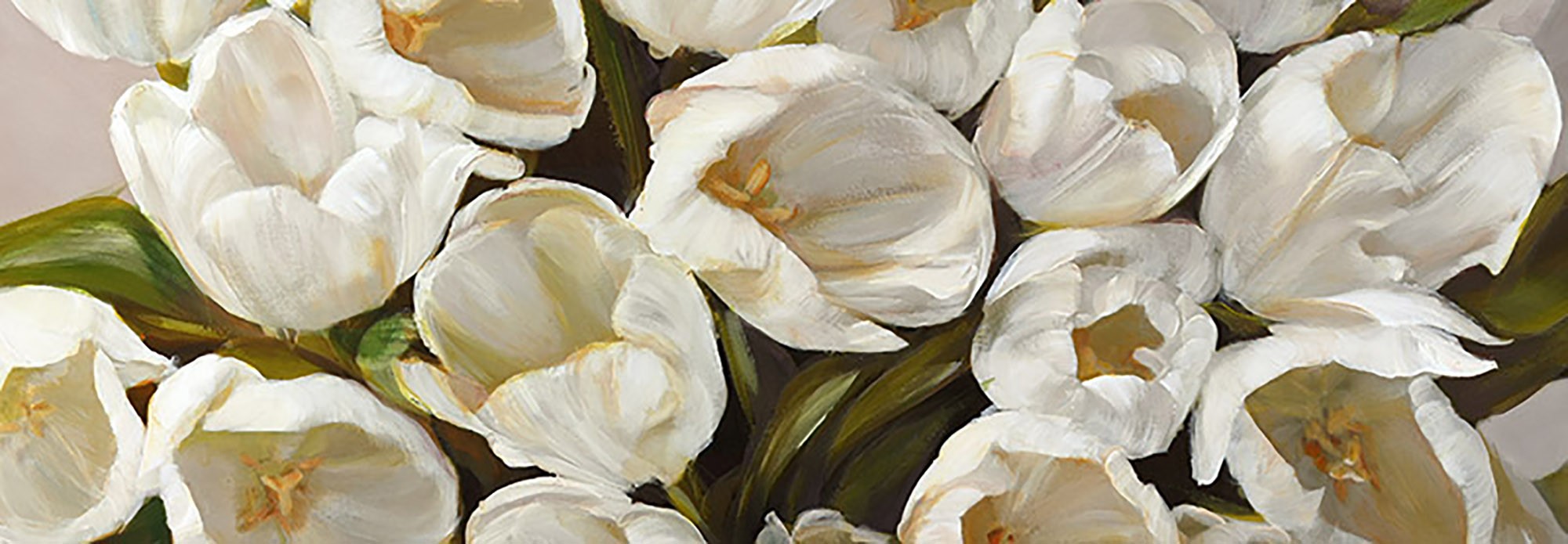 tulipanes blancos