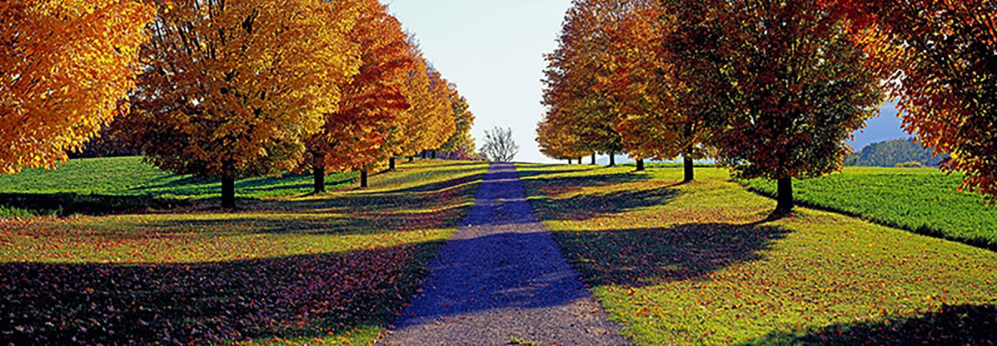 Autumn Road, Storm King Mountain, Nueva York