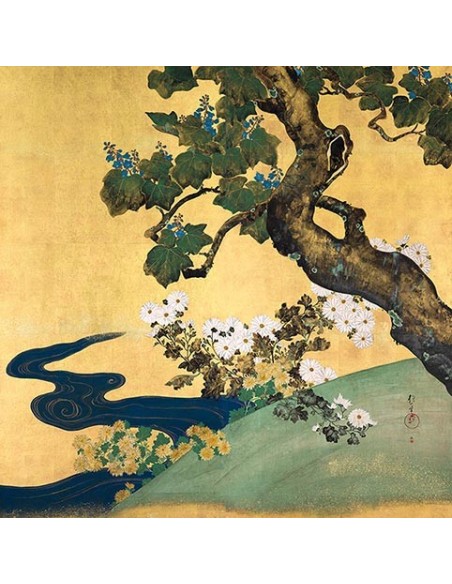 Paulownias y crisantemos