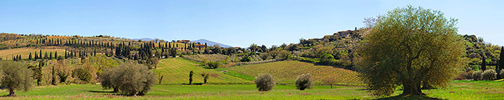 Valle de Orcia, Siena, Toscana