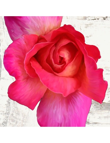 Rosas de primavera I