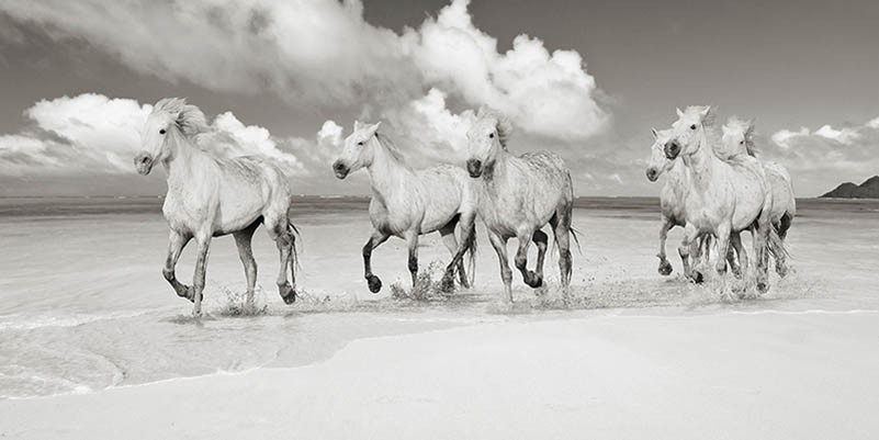Hermanos de sangre, Playa Lanikai, Hawái (BW)