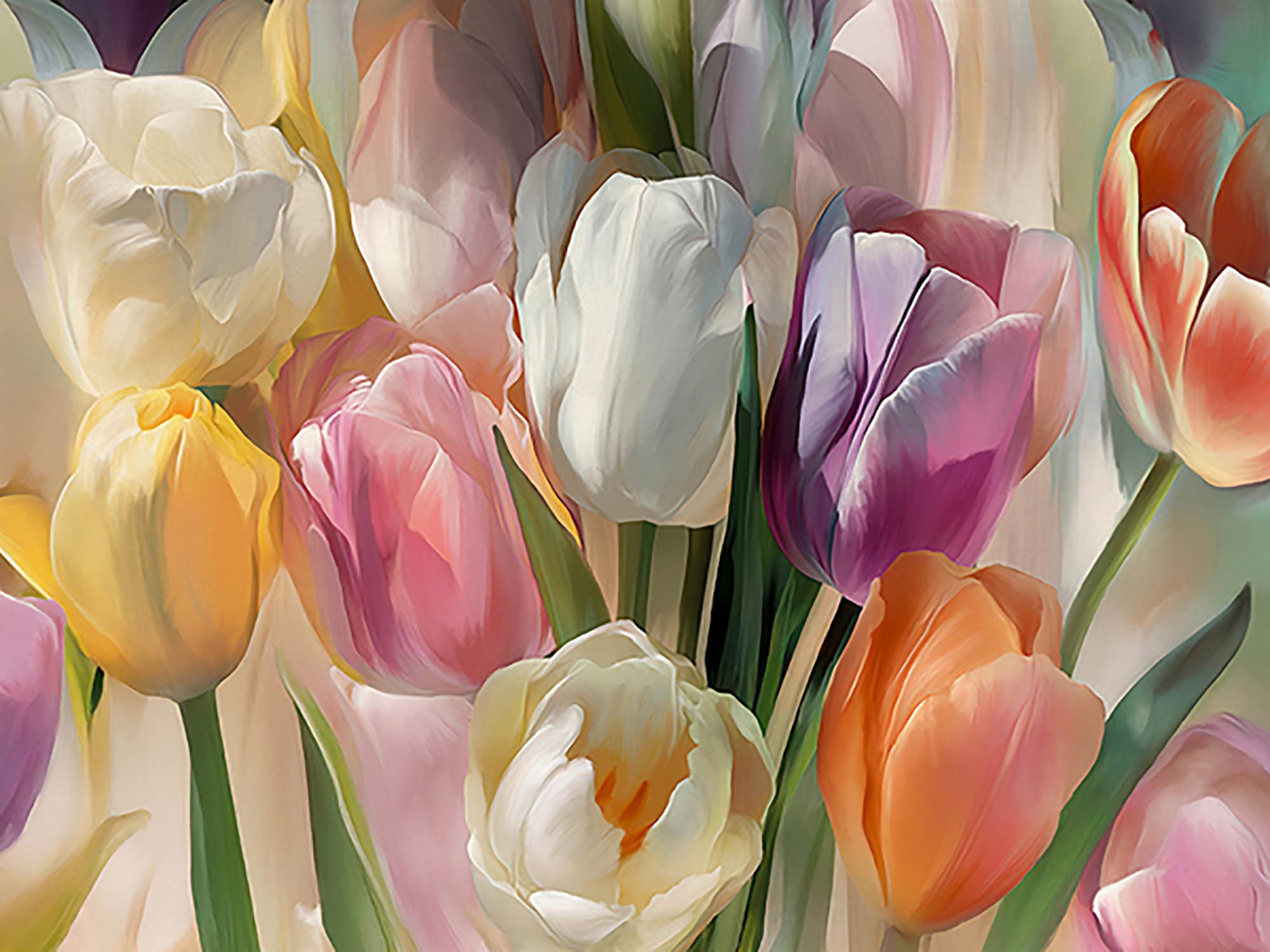 soft tulips (detail)