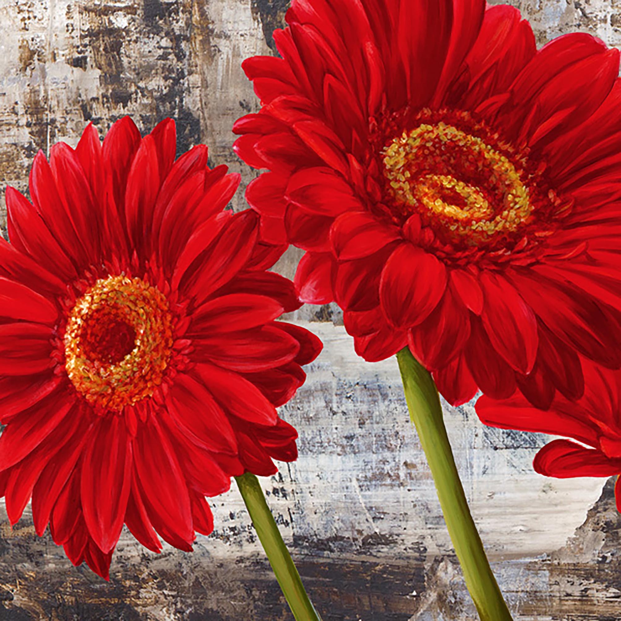 Gerberas rojas I