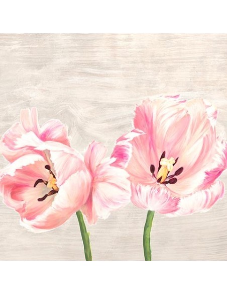 Tulipanes clásicos II