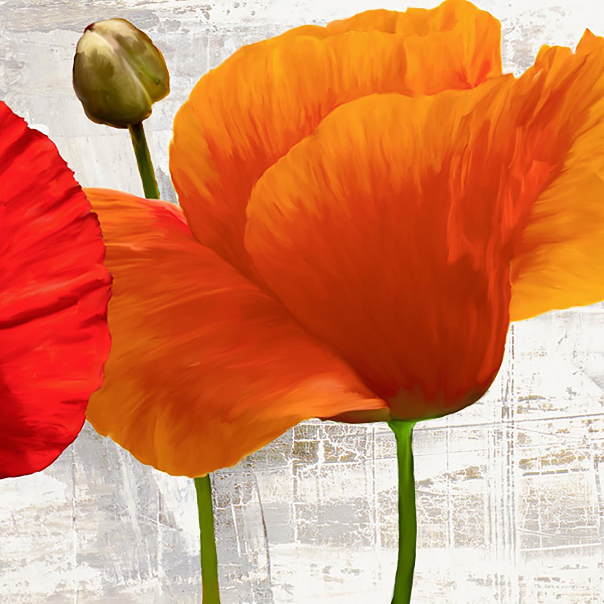 Amapolas de verano II