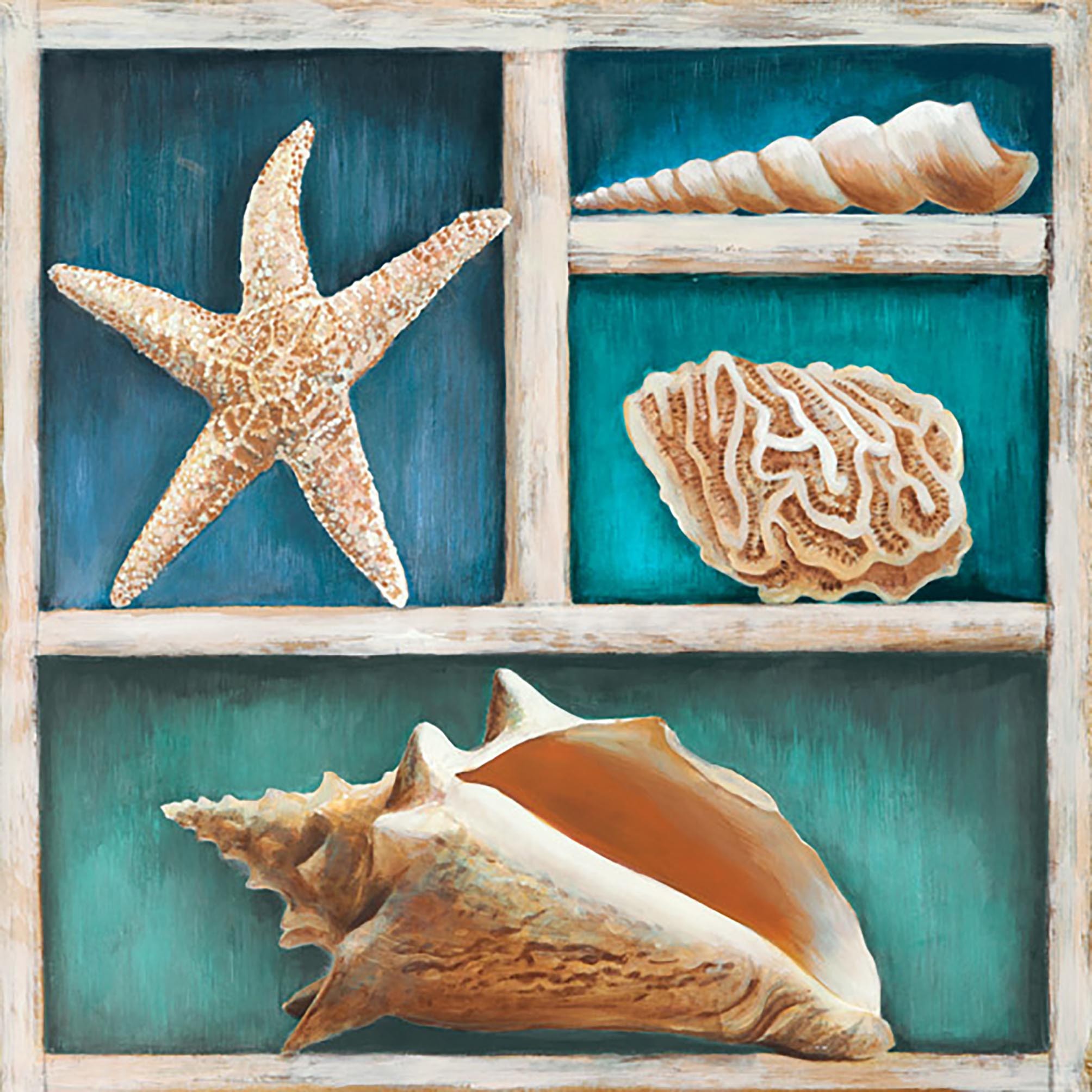 Colección de Memorias VI