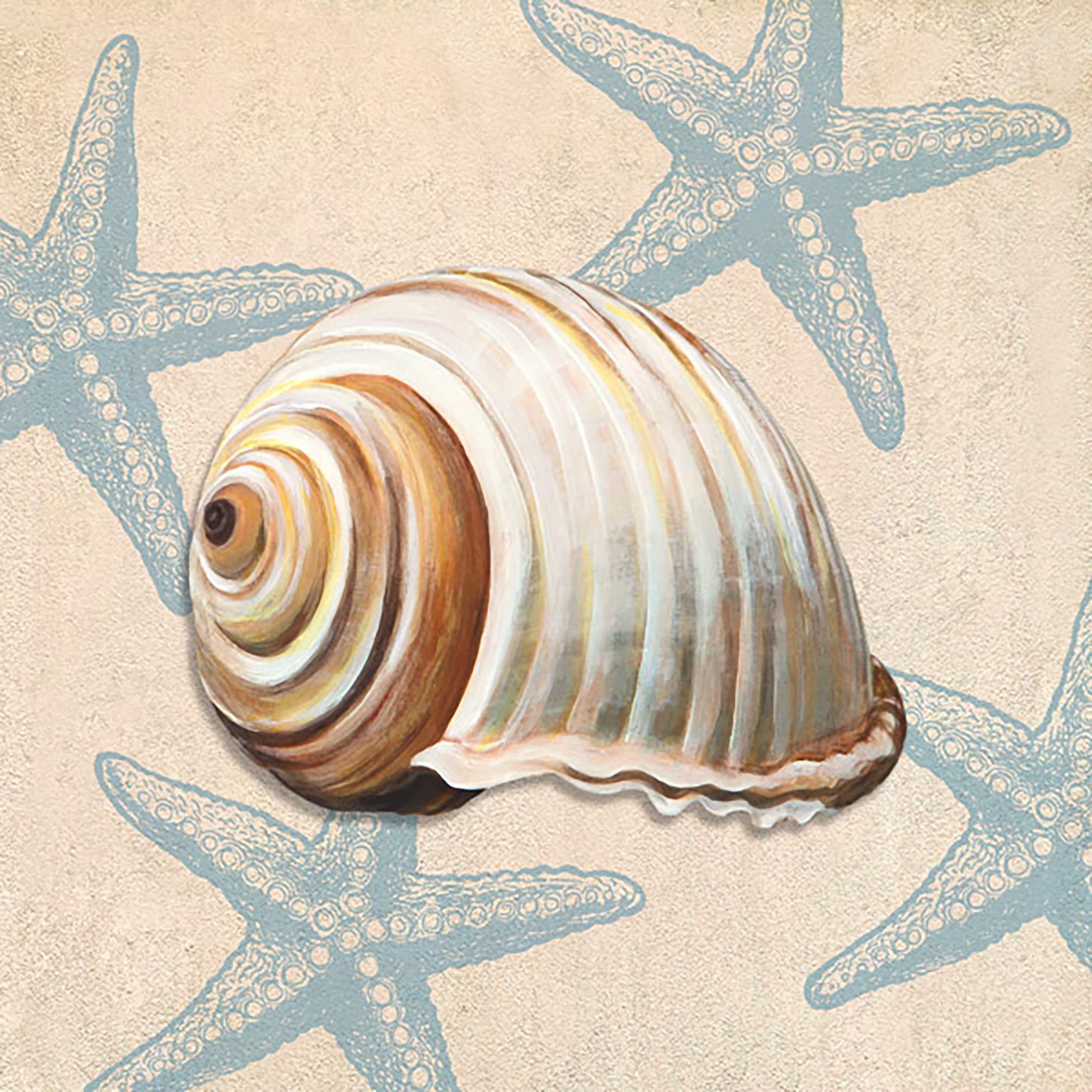 Regalo del océano III