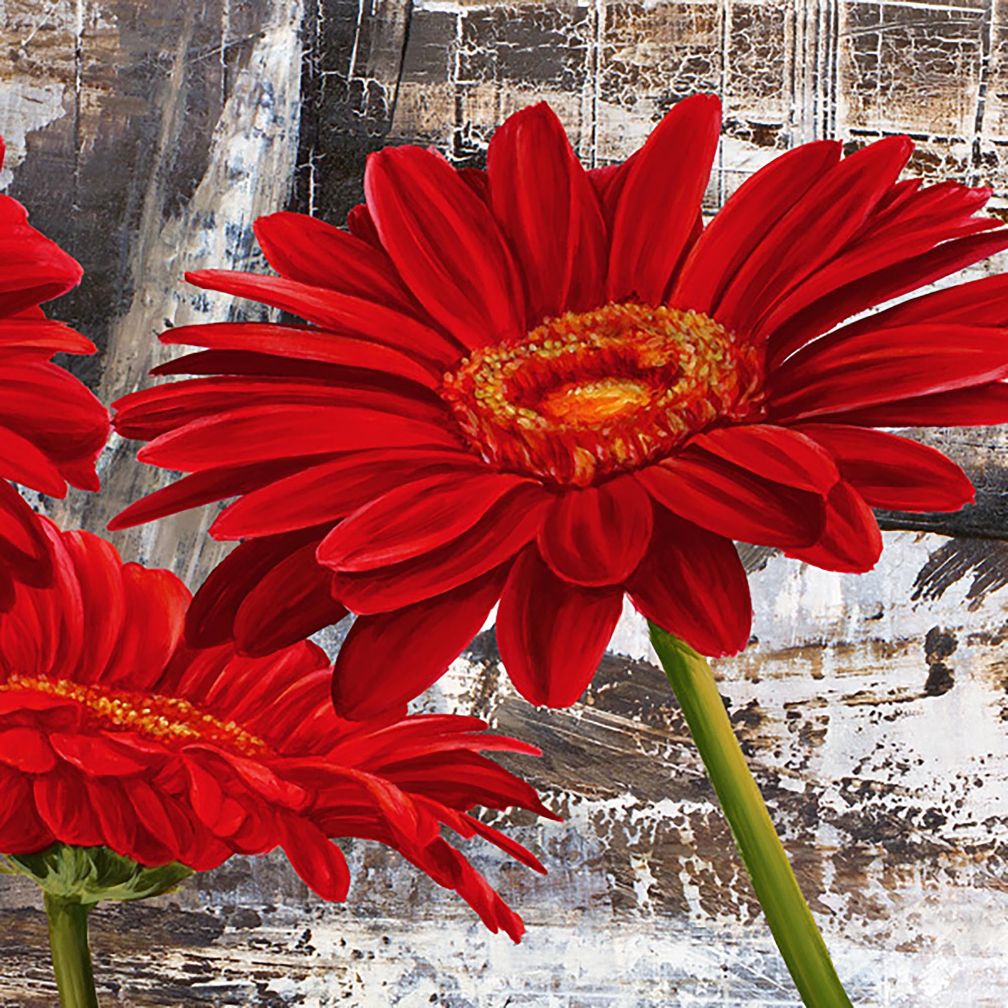 Gerberas rojas II
