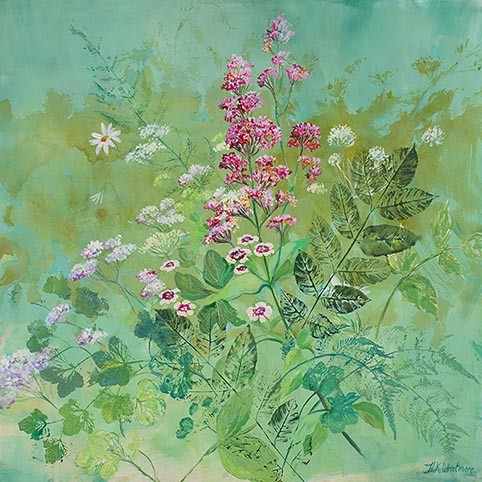 Rincón de mi jardín