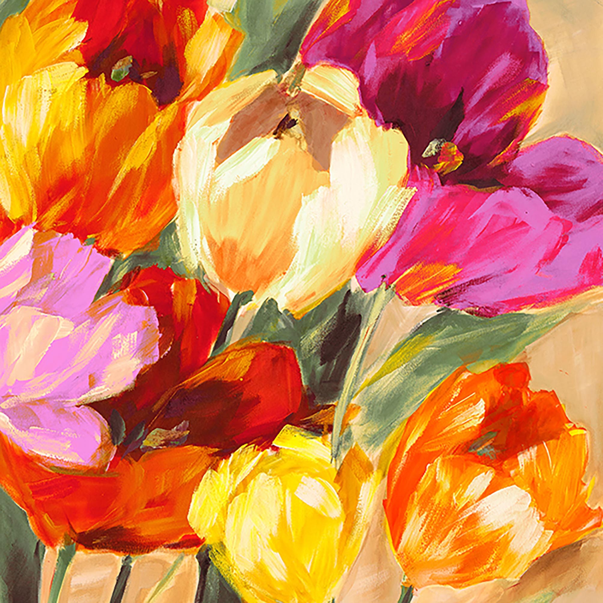Tulipanes coloridos II