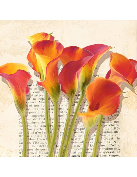 Historias de Callas (detalle)