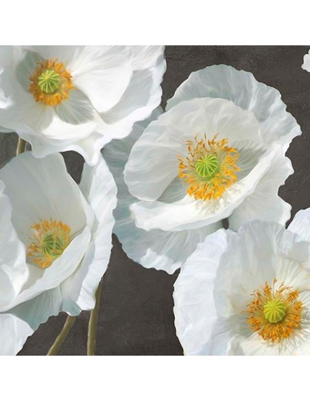 Amapolas en la pizarra I