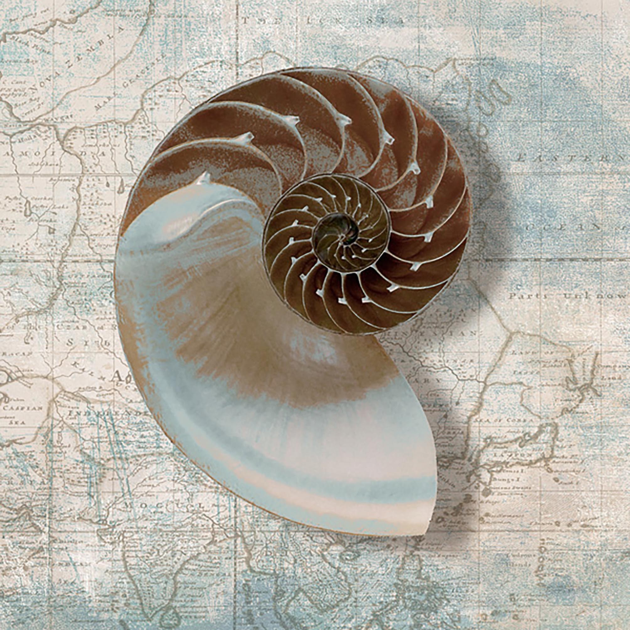 Nautilo