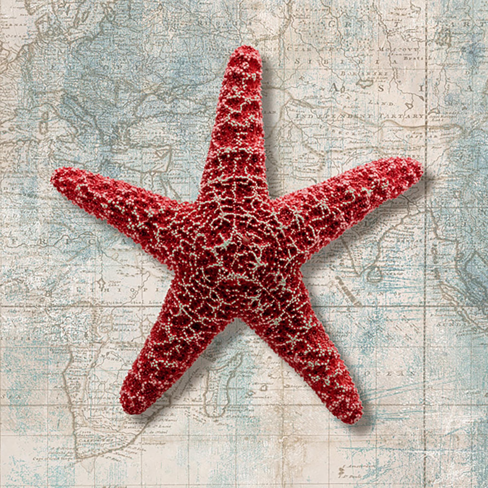 Estrella de mar