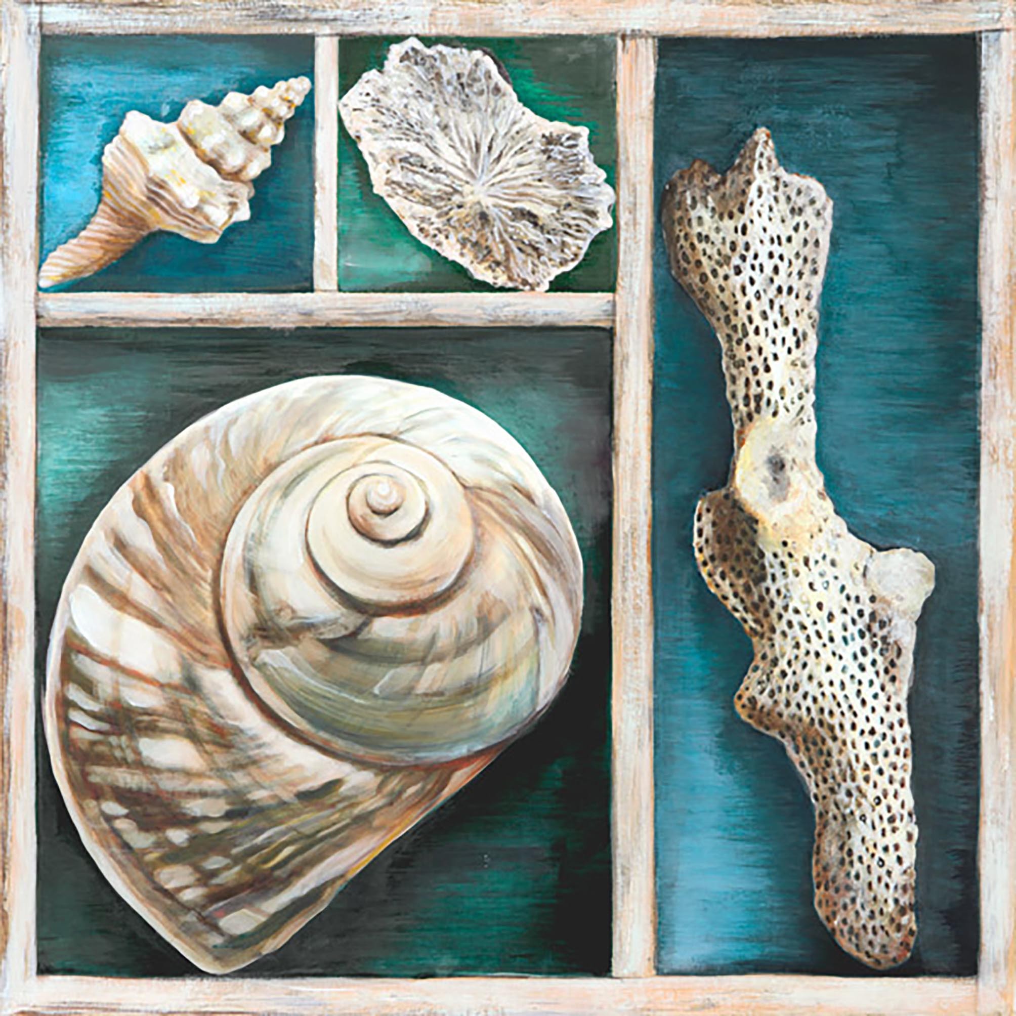 Colección de Memorias V