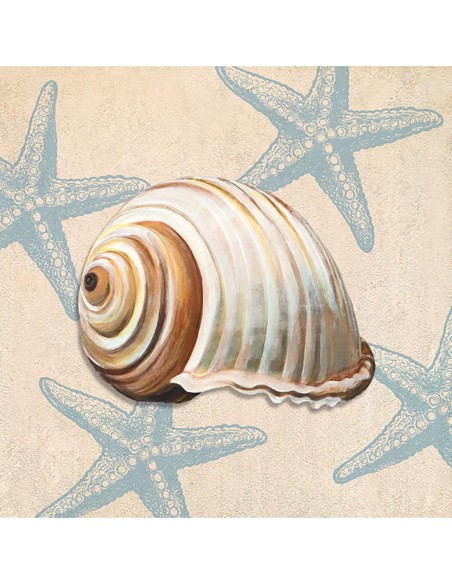 Regalo del océano IV