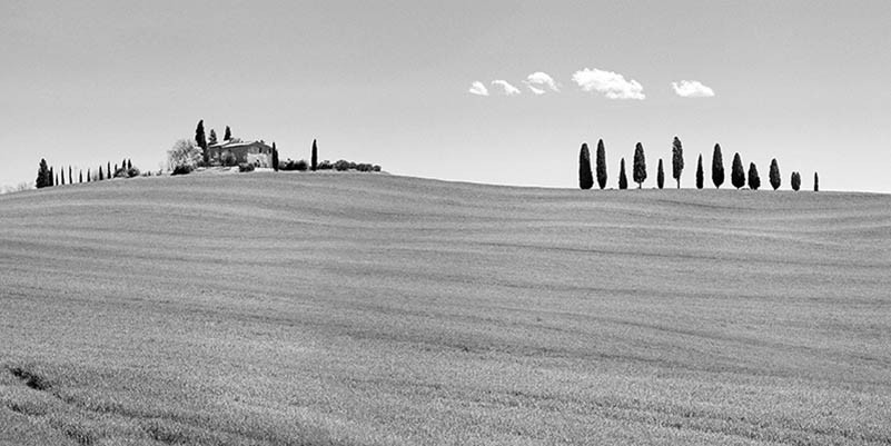 Ruta del vino Brunello, Toscana (BW)