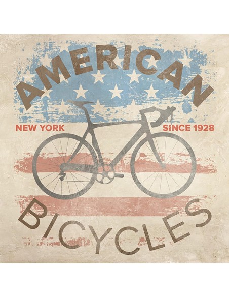 Bicicletas americanas