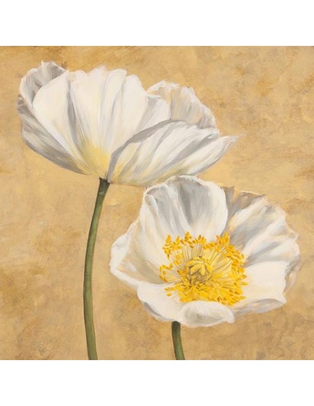 Amapolas en blanco I