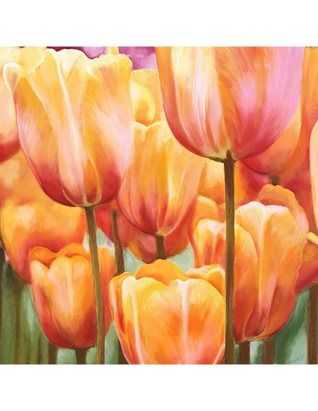 Tulipanes de primavera II