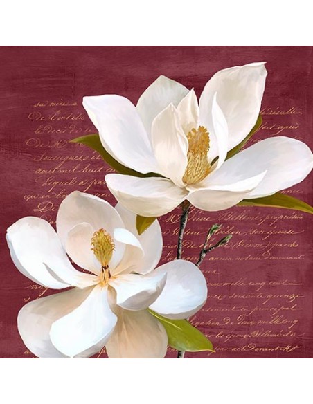 Magnolia II de Borgoña