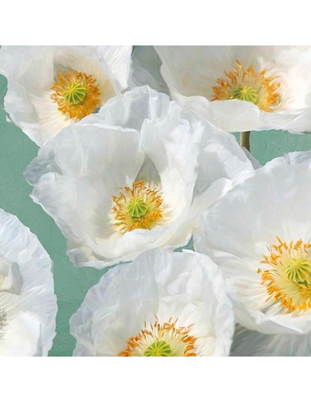 Amapolas sobre gris topo I