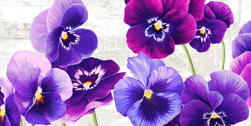 Danza de pensamientos