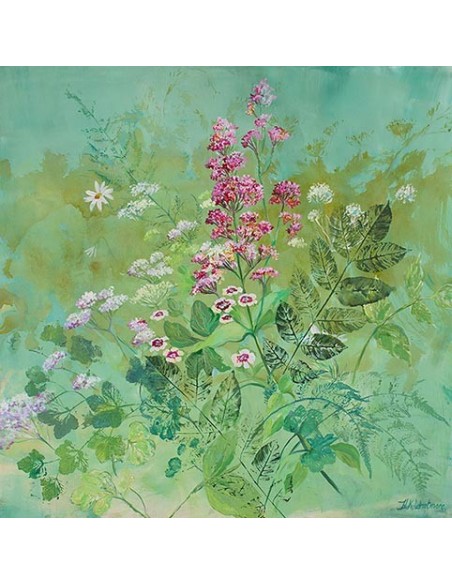 Rincón de mi jardín