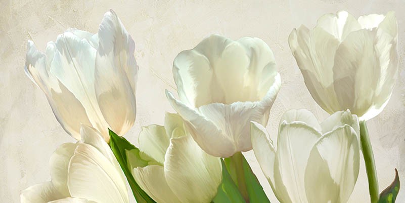 Tulipanes blancos (detalle)