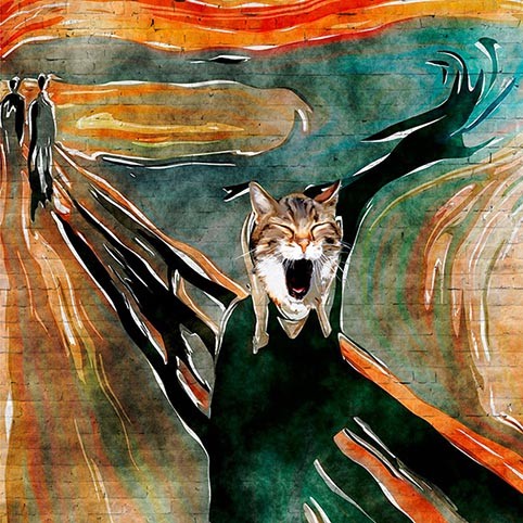 El Meow, Kansas City