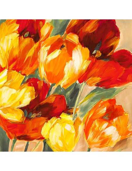 Tulipanes al sol II
