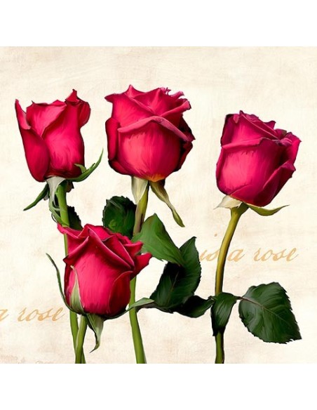 Una rosa es una rosa