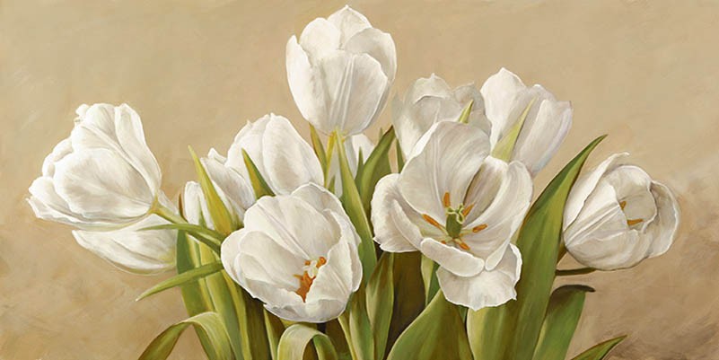 tulipanes blancos