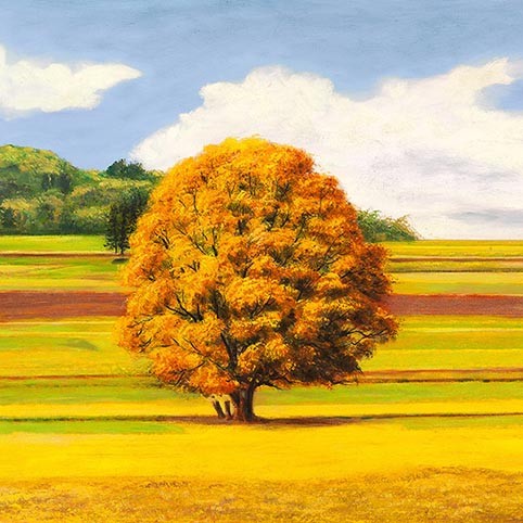 Llanuras Serenas I (detalle)