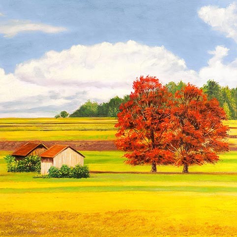 Serene Plains II (detalle)