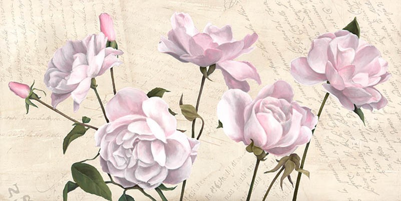 Composición en blanco