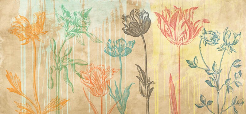 Botaniques Cochin 2 (colores)